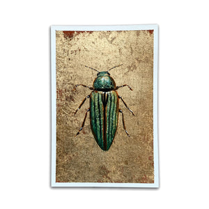 buprestis aurulenta: small golden jewel beetle painting