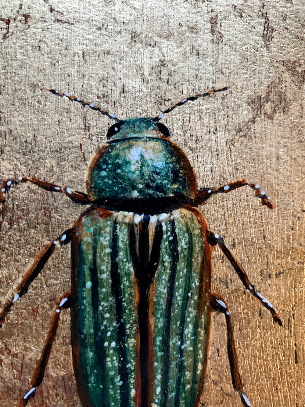 green golden jewel beetle painting detail