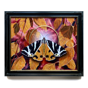 'Effulgence' Jersey tiger moth painting with yellow birch leaves