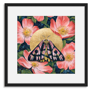 elegant sheepmoth wild rose art print black frame with mat
