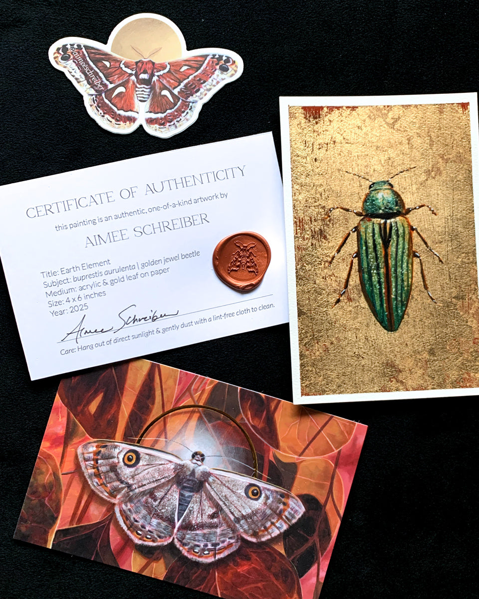 small gold beetle painting with sticker, moth postcard, and certificate of authenticity