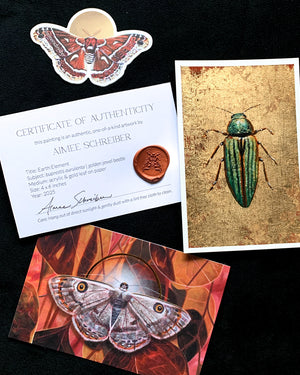 small gold beetle painting with sticker, moth postcard, and certificate of authenticity