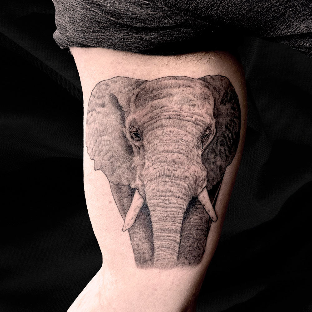 realistic elephant tattoo by Danny Schreiber