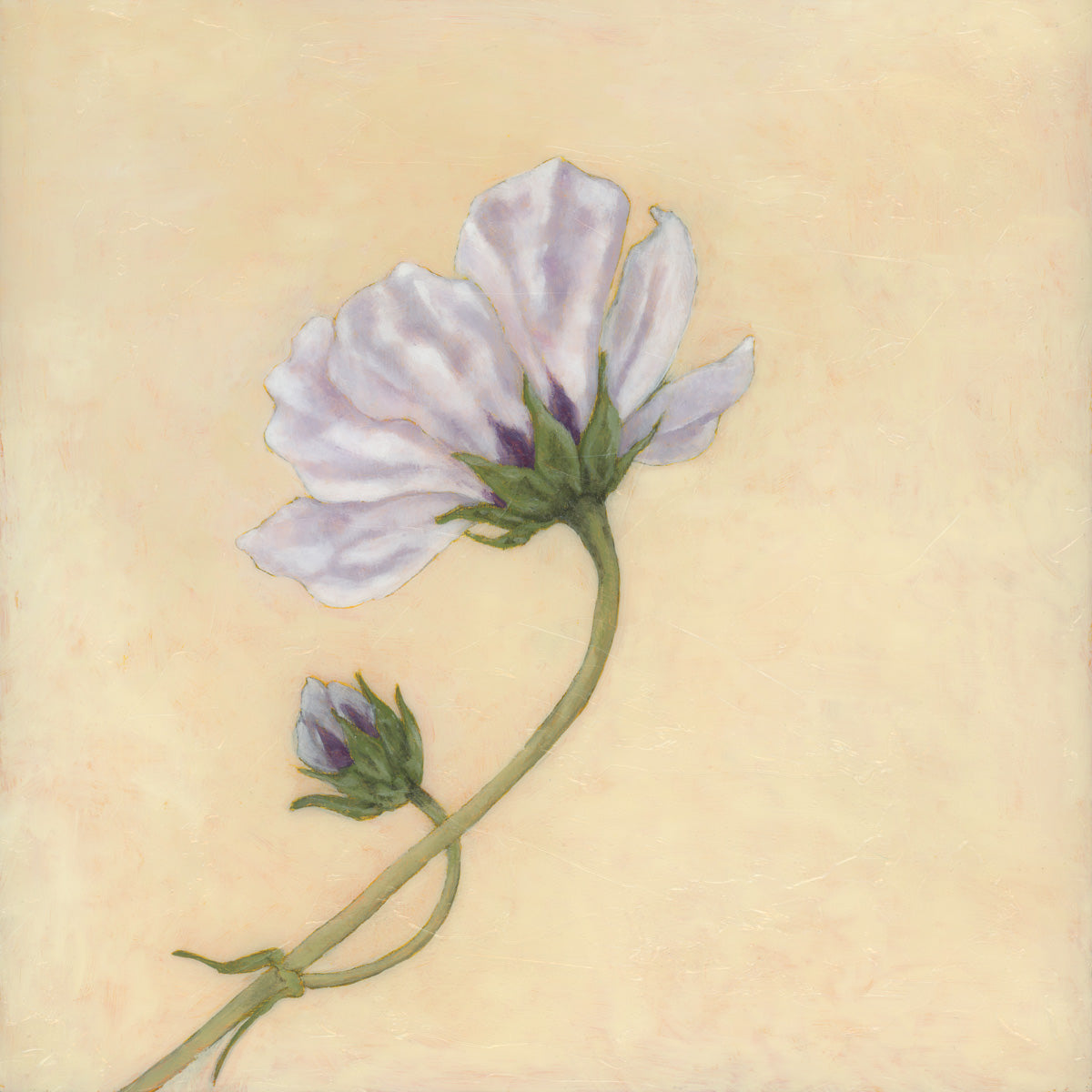 cosmo flower art print