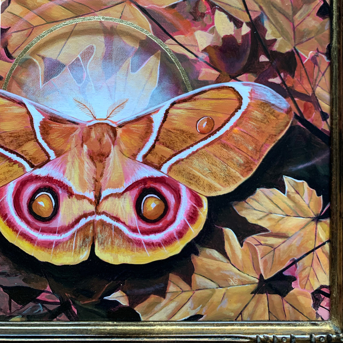 &#39;Entanglement&#39; antherina suraka moth painting with fall leaves detail