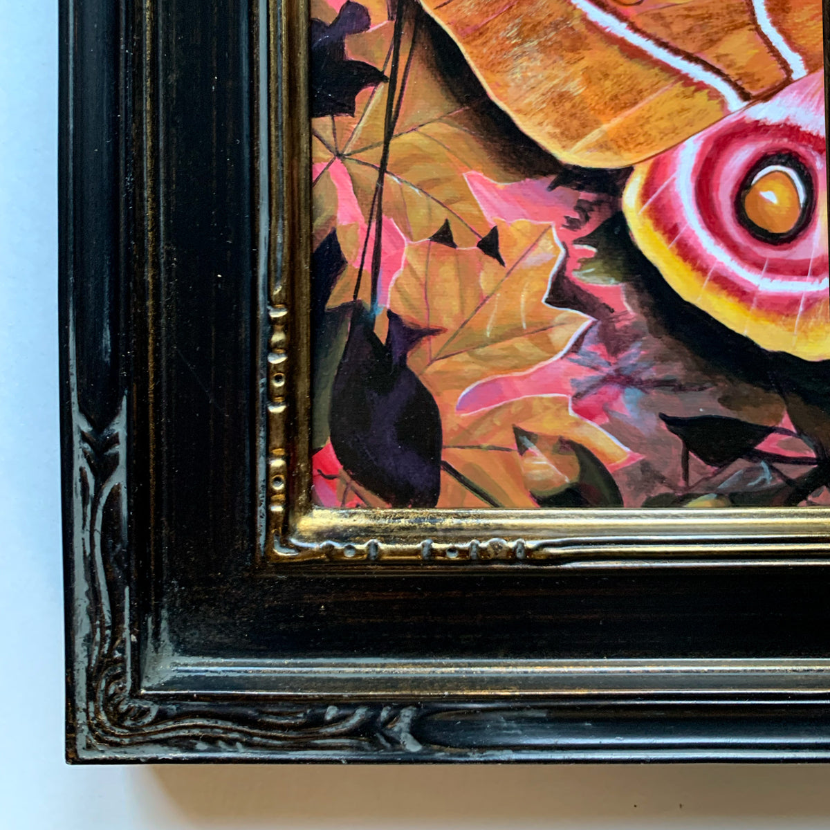 &#39;Entanglement&#39; antherina suraka moth painting black carved frame detail
