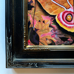 'Entanglement' antherina suraka moth painting black carved frame detail