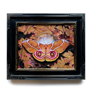 'Entanglement' antherina suraka moth painting with fall leaves