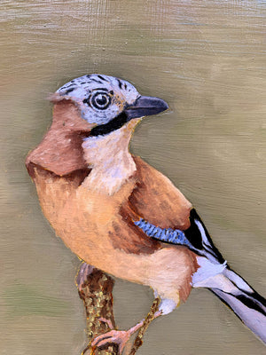 eurasian jay bird oil painting detail