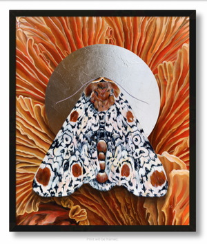 "Everything" Harris 3-spot moth Mushroom Art Print