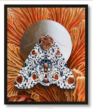 moth framed canvas print