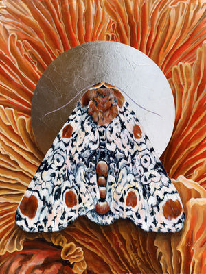 'Everything' Harris 3-spot moth mushroom art print 30x40
