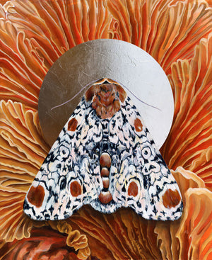 'Everything' Harris 3-spot moth mushroom art print 20x24 inches