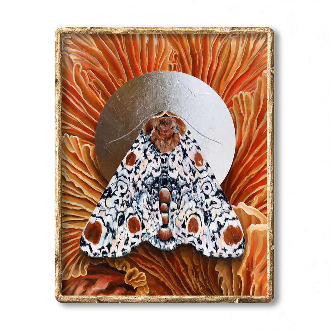 &#39;Everything&#39; Harris 3-spot moth mushroom art print