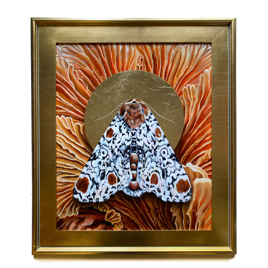 Everything Harris Three-Spot Moth Painting in gold leaf frame