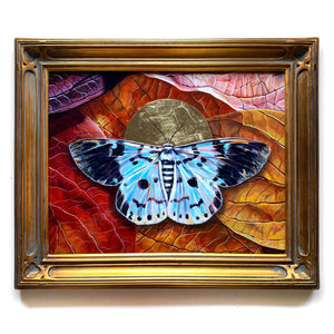 blue tiger moth gold leaf painting in gold frame