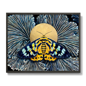 false tiger moth blue yellow moth art in black frame