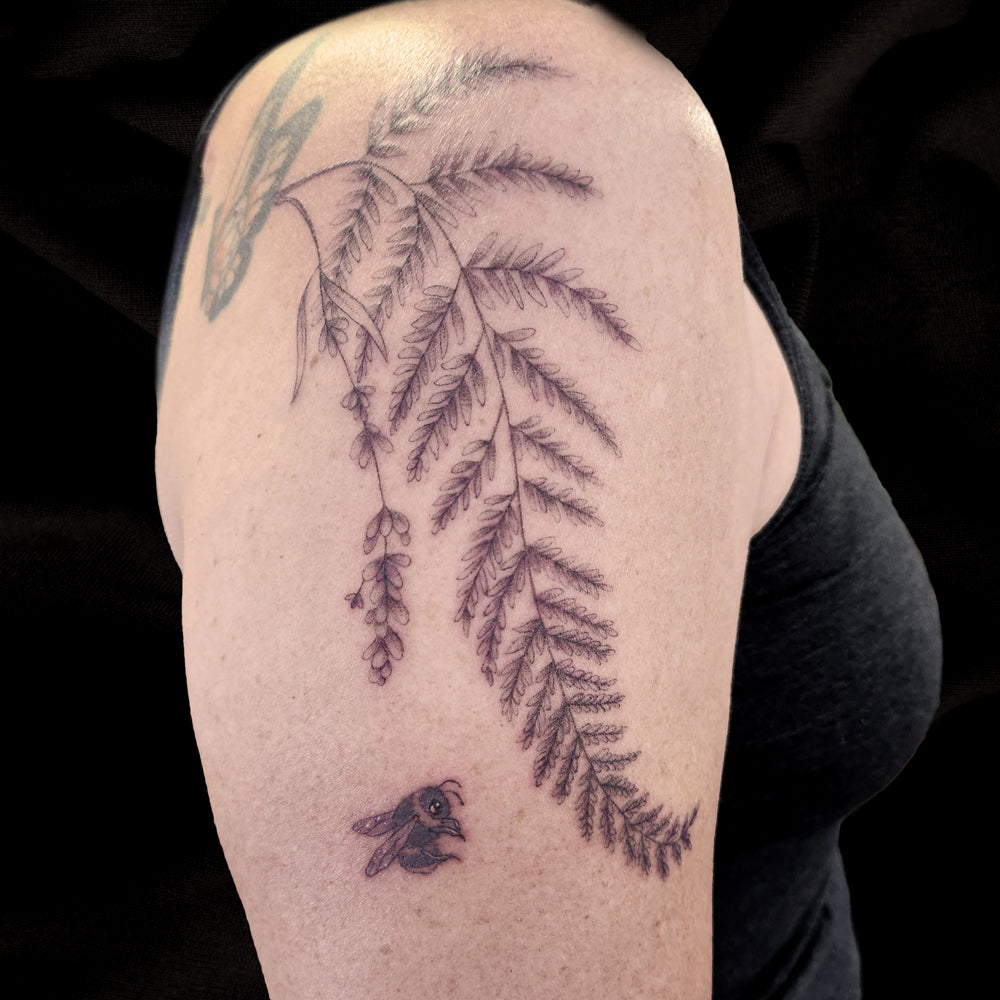 fineline fern bee tattoo by Lydia Pitts