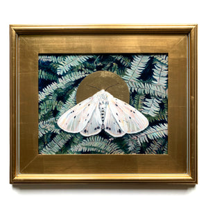 white muslin moth and fern painting in gold frame