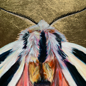 nais tiger moth painting gold halo detail