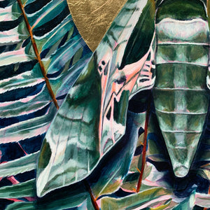 pandora sphinx moth fern painting detail