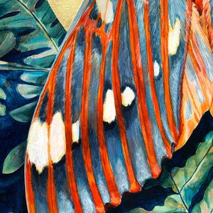 royal walnut moth painting wing detail