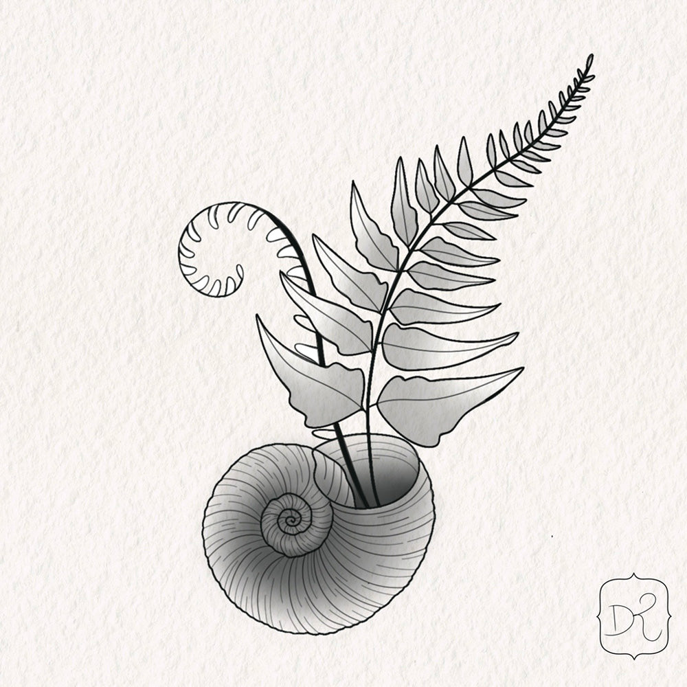 fern tattoo design by Lydia Pitts 