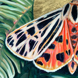virgin tiger moth painting wing detail