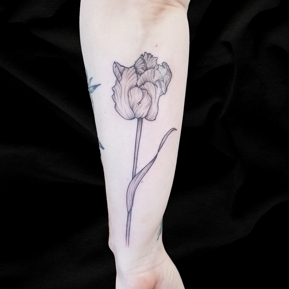 tulip fine line tattoo by Lydia Pitts