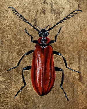 "Fire Element" Beetle Painting
