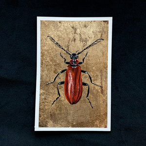 "Fire Element" Beetle Painting