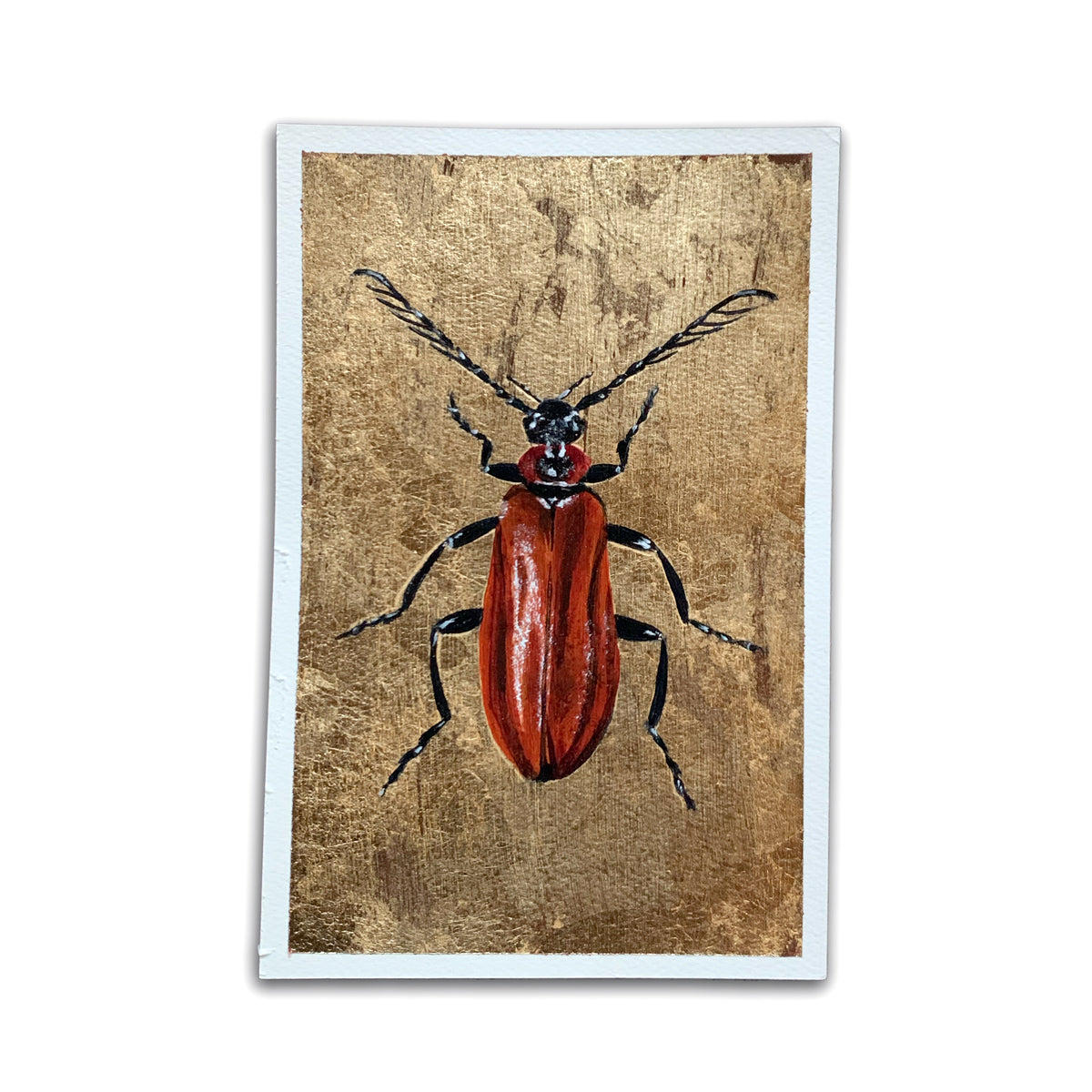 &quot;Fire Element&quot; Beetle Painting