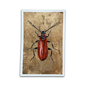 "Fire Element" Beetle Painting