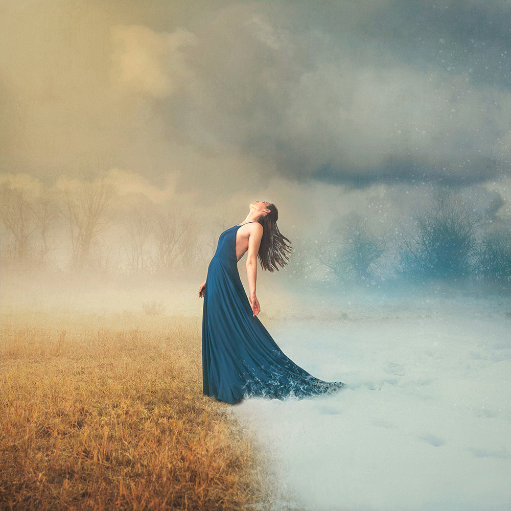 "Fire and Ice" by Stacy Honda