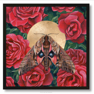 "Flourish" Sphinx Moth Art Print
