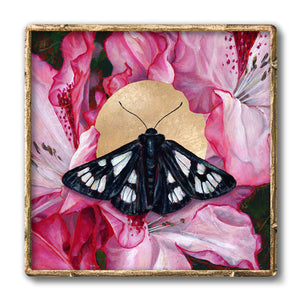 forester moth pink flower art print in gold frame