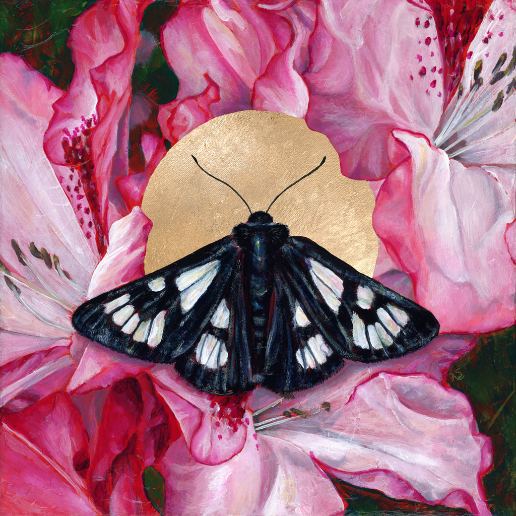 Riding's Forester Moth Art Print | Black Moth & Pink Flower