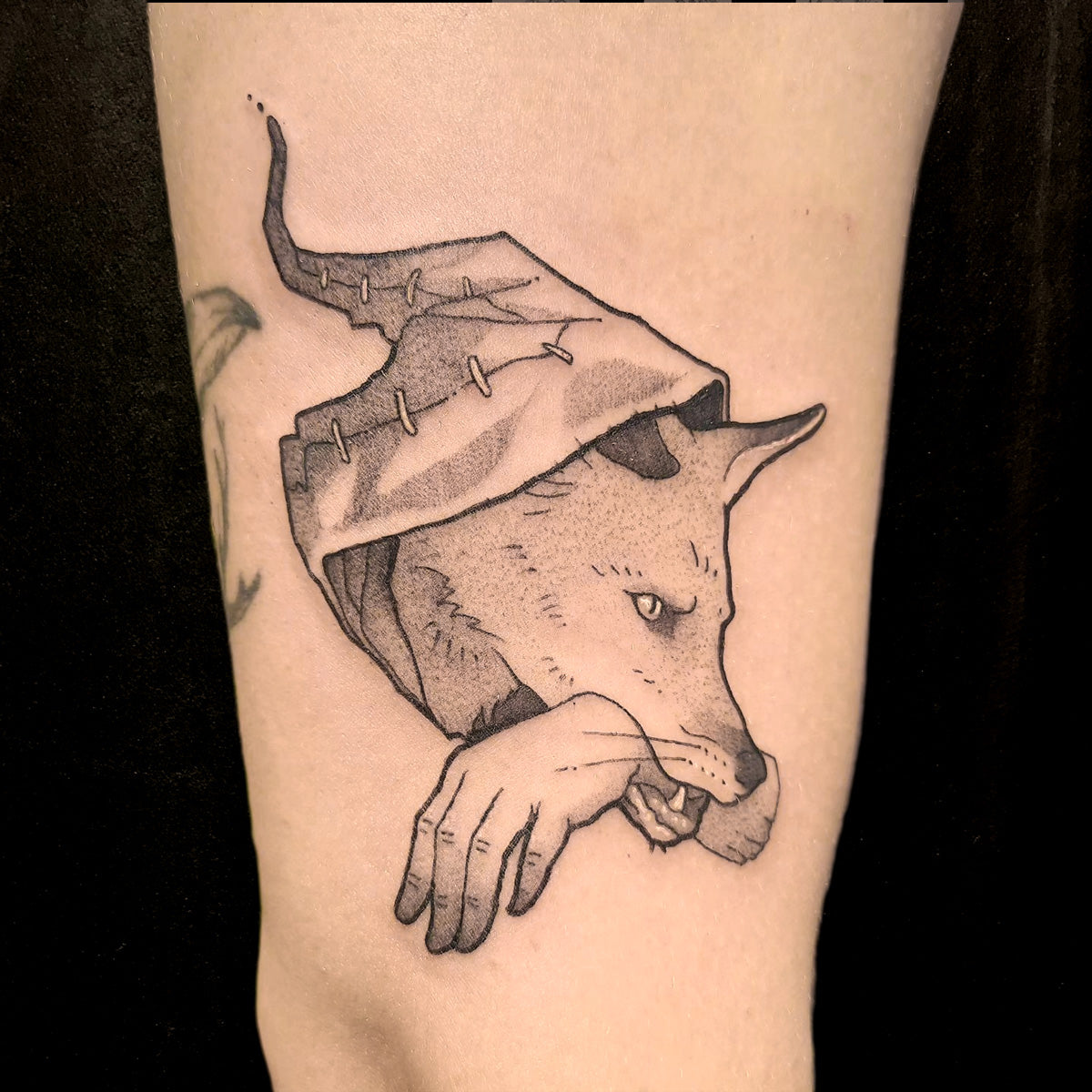 Fox thief tattoo by Vincent Li