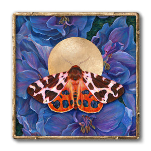 garden tiger moth art print blue delphinium flowers in gold frame 