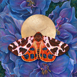 garden tiger moth art print blue purple delphinium flowers