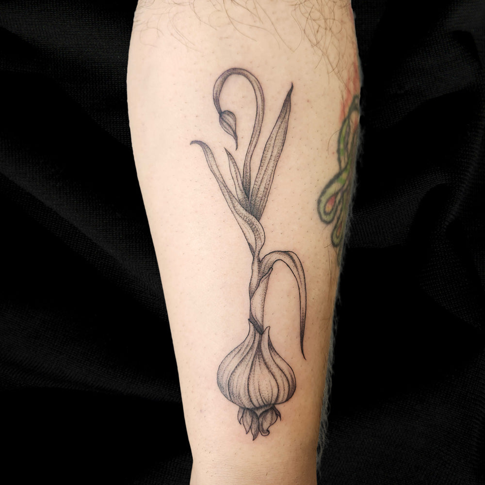 fine line garlic tattoo by Lydia Pitts