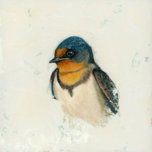 swallow bird art print - square bird wall art
