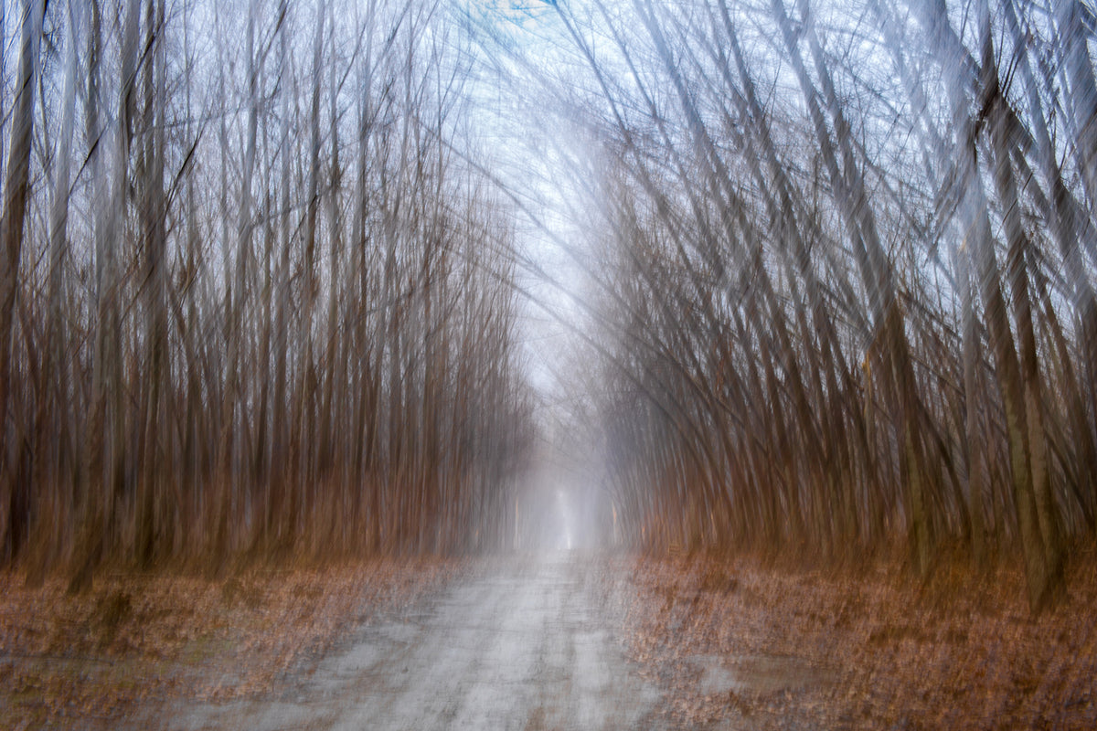 "Ghost Wind" by Bill Purcell