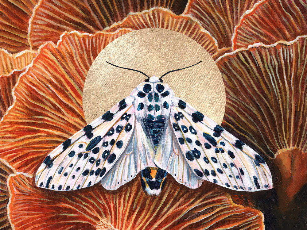 &#39;Connection&#39; giant leopard moth mushroom art print 30x40