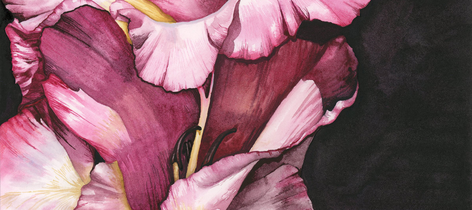 Shop fine art by Cass Brown of Graybeal Illustrations