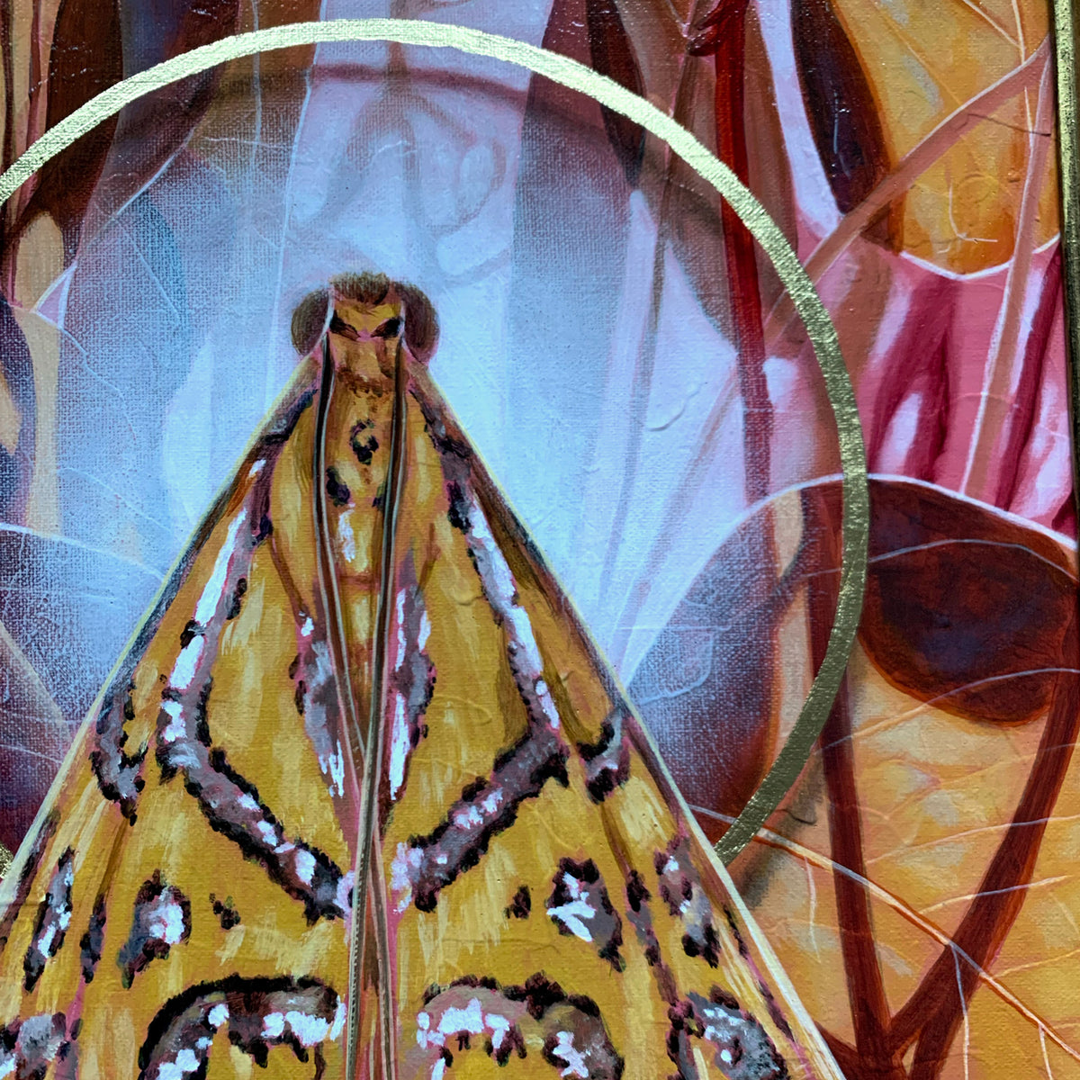 &#39;Gossamer&#39; glittering magdalena moth painting with gold leaf detail