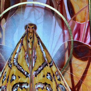 'Gossamer' glittering magdalena moth painting with gold leaf detail