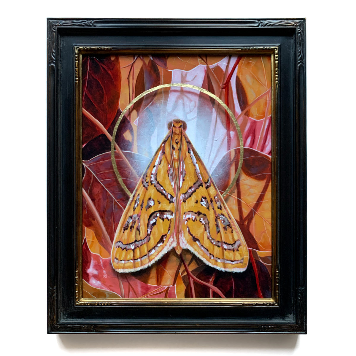 &#39;Gossamer&#39; glittering magdalena moth painting with gold leaf