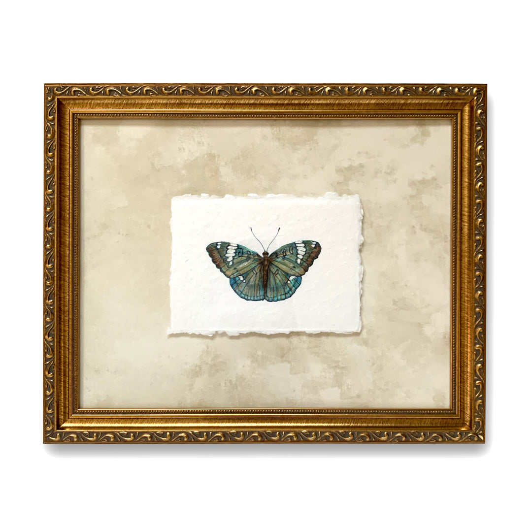 grand duchess butterfly painting on paper in gold frame