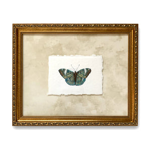 grand duchess butterfly painting on paper in gold frame